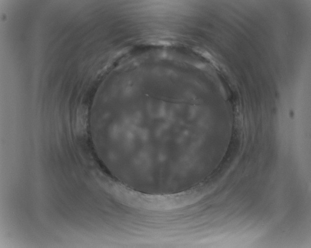 X0000068770030200604281250