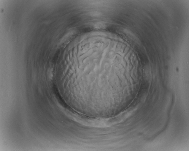 X0000068770032200604281250