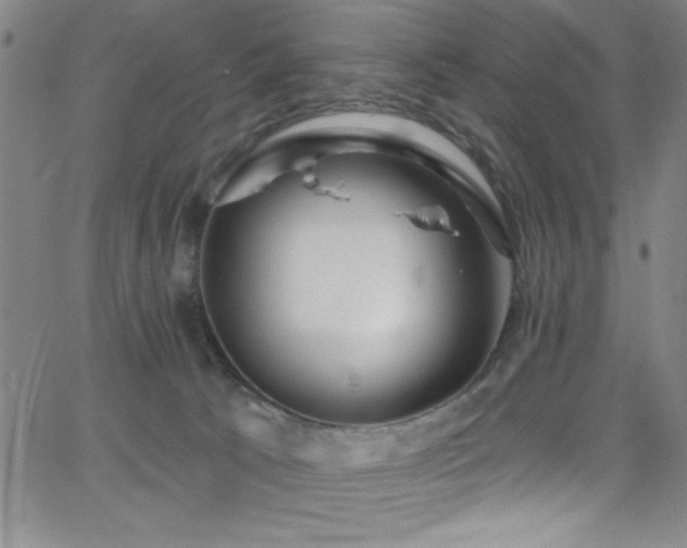 X0000068770033200604281249