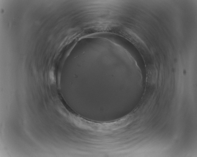 X0000068770035200604281249