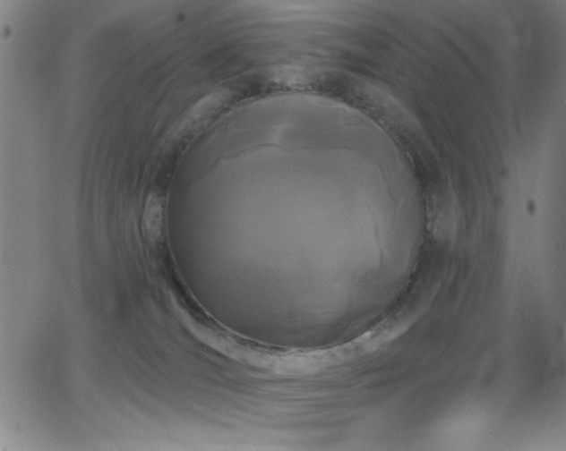 X0000068770036200604281249