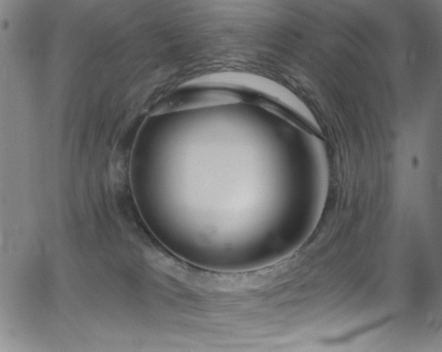 X0000068770037200604281249