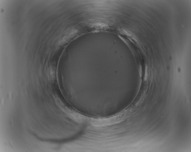 X0000068770039200604281249