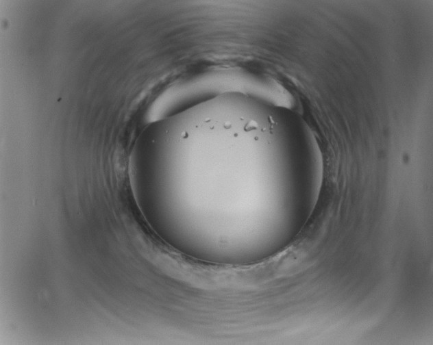 X0000068770040200604281249