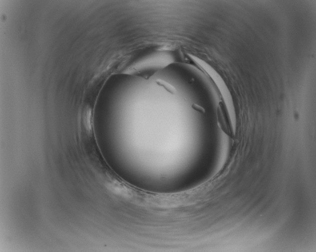 X0000068770041200604281249