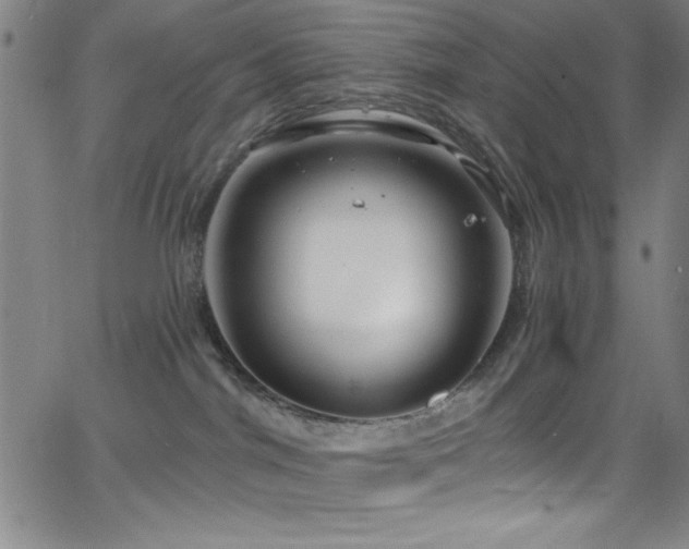 X0000068770044200604281249