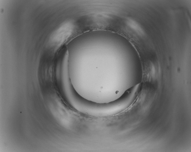 X0000068770045200604281249