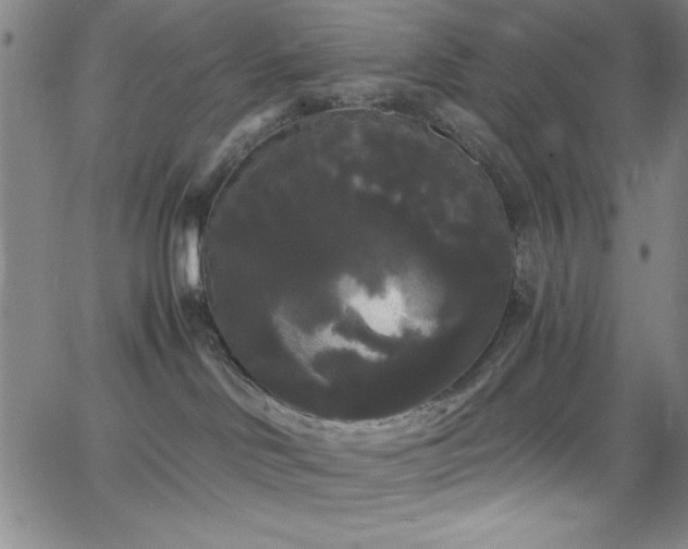 X0000068770046200604281249