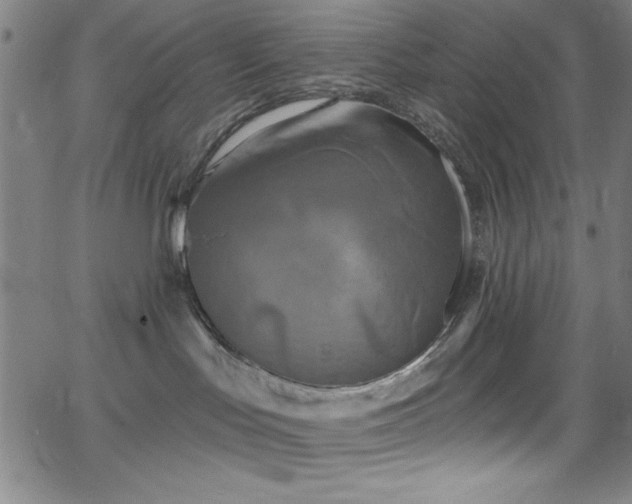 X0000068770047200604281249