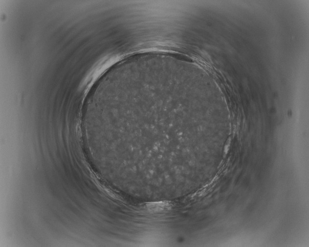 X0000068770050200604281248