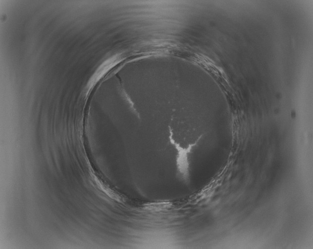 X0000068770051200604281249