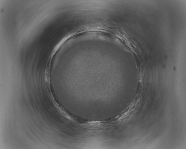 X0000068770052200604281249