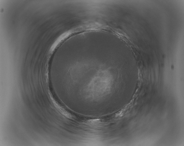 X0000068770054200604281249