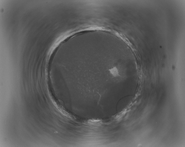 X0000068770055200604281249