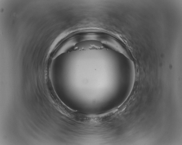 X0000068770056200604281249