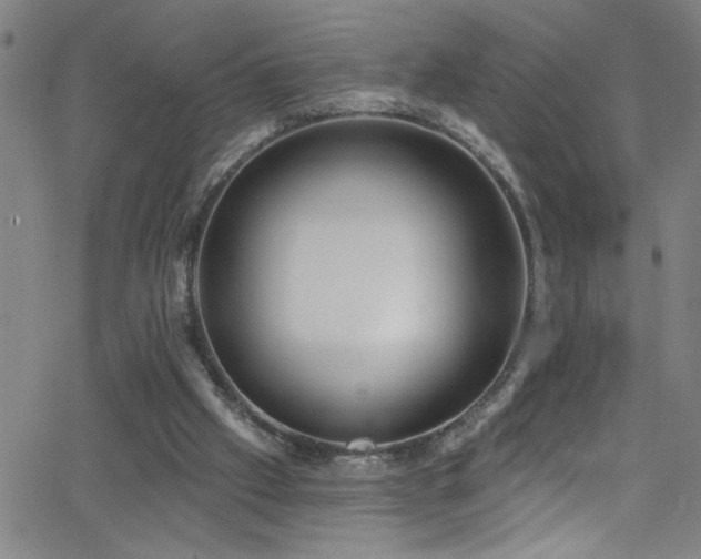 X0000068770057200604281249