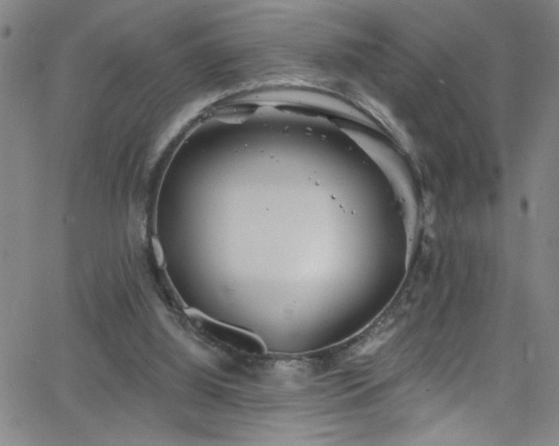 X0000068770060200604281249