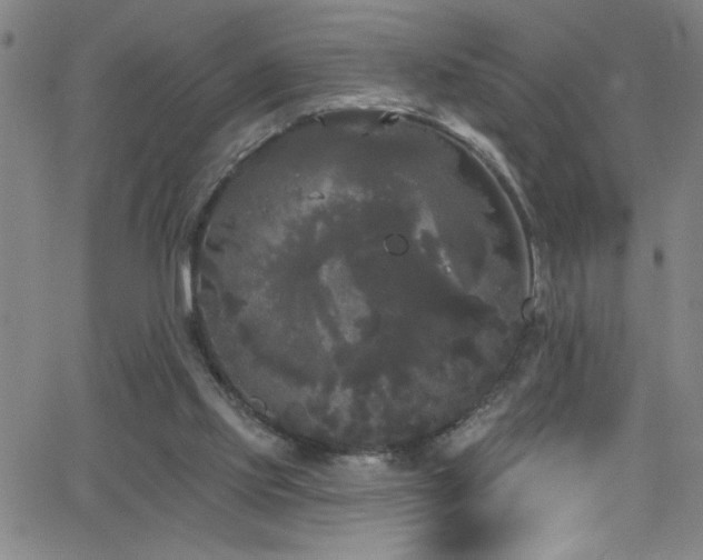 X0000068770061200604281249