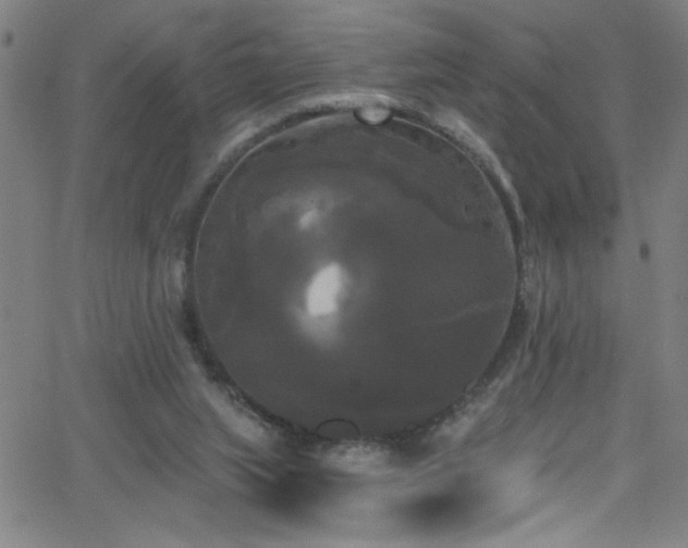 X0000068770063200604281249