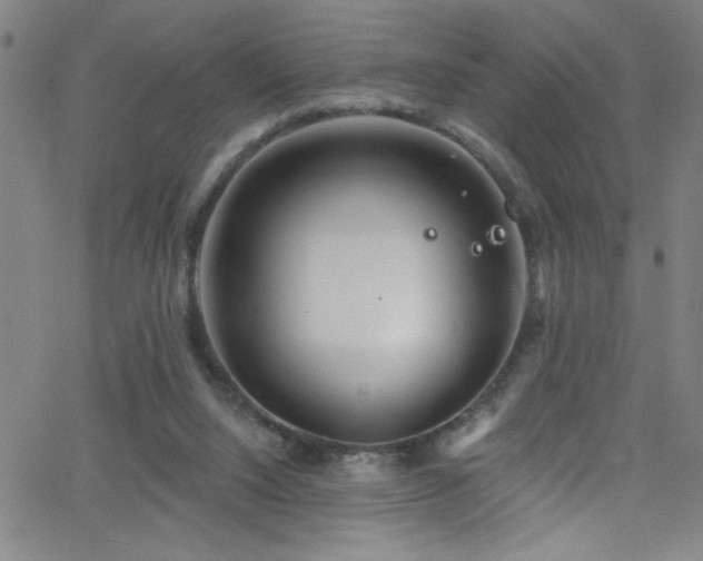 X0000068770064200604281249