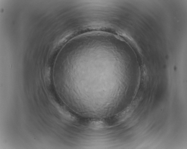 X0000068770066200604281249