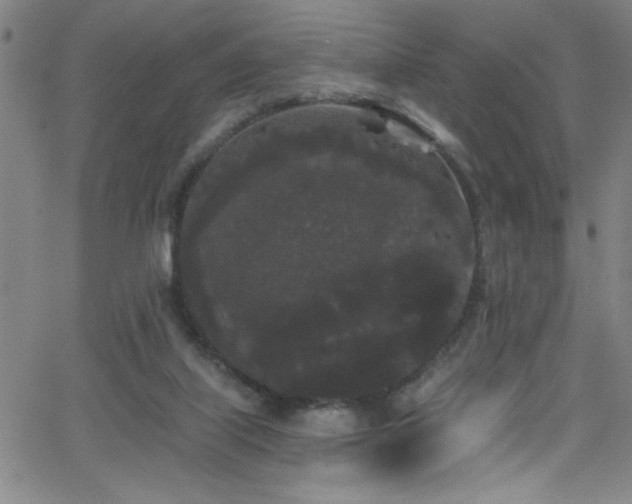 X0000068770067200604281249