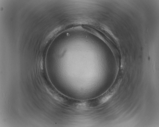 X0000068770068200604281249