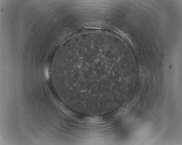 X0000068770069200604281249