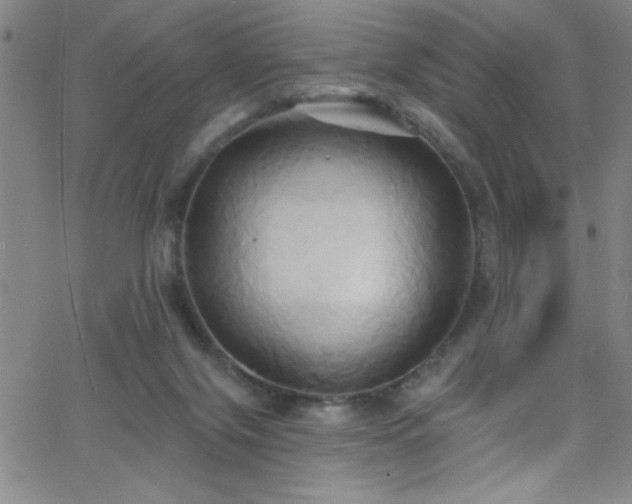 X0000068770071200604281249