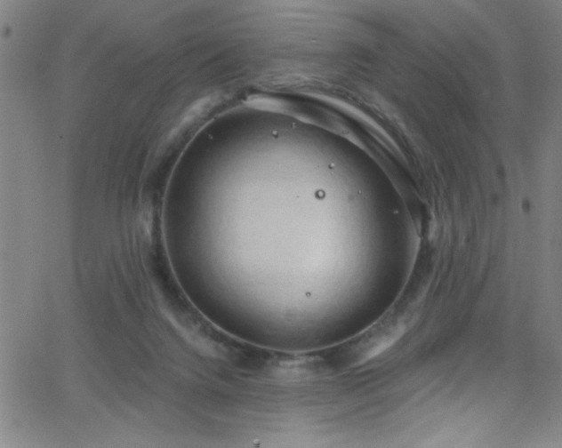 X0000068770072200604281249