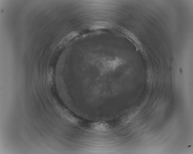 X0000068770073200604281249