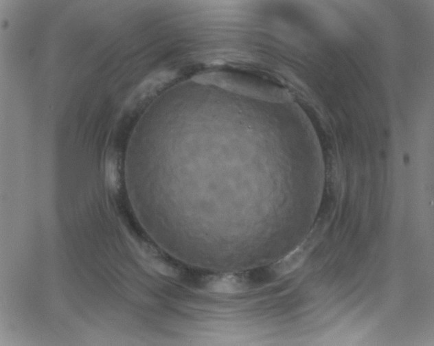 X0000068770074200604281249