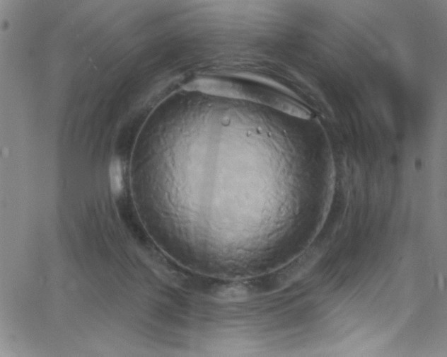 X0000068770075200604281249