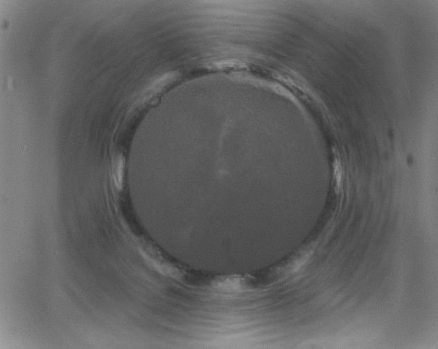 X0000068770076200604281249