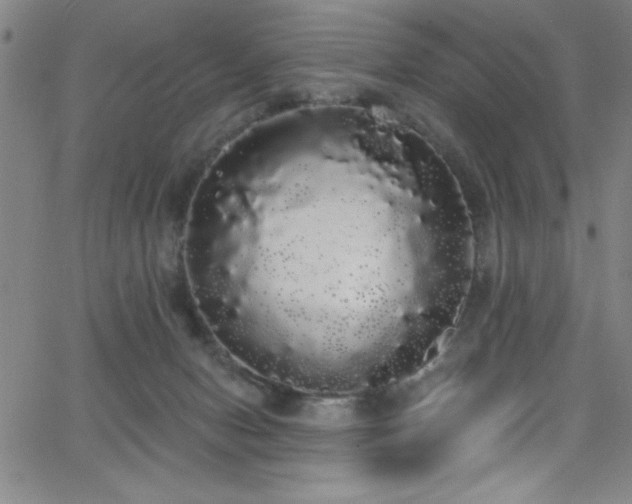 X0000068770078200604281249