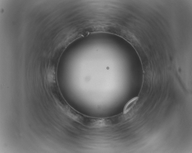 X0000068770083200604281249