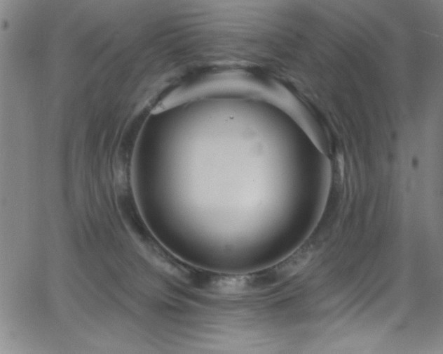 X0000068770084200604281249