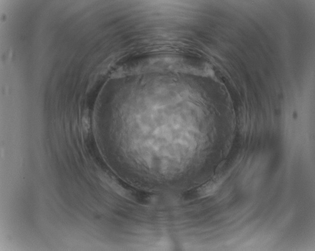 X0000068770085200604281249