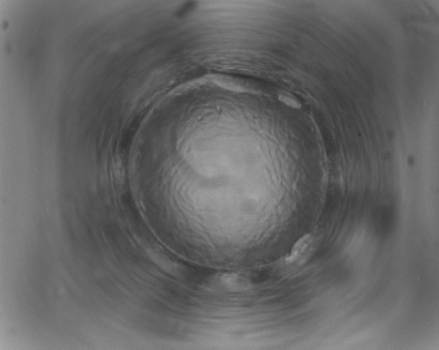 X0000068770086200604281249