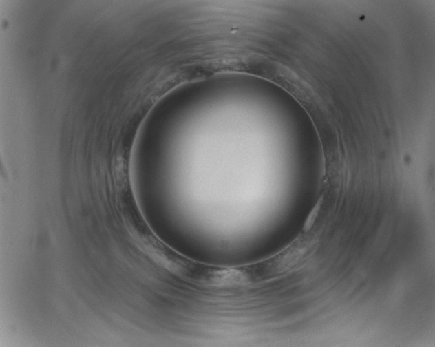 X0000068770087200604281249