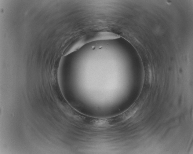 X0000068770088200604281249