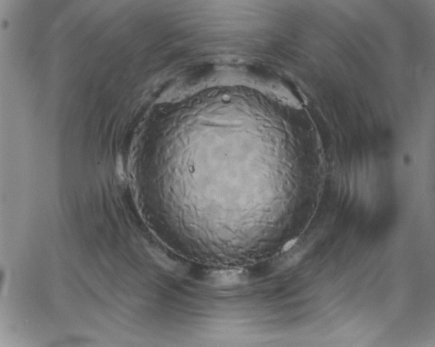 X0000068770089200604281249