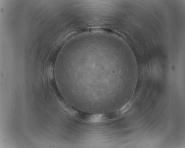 X0000068770090200604281249