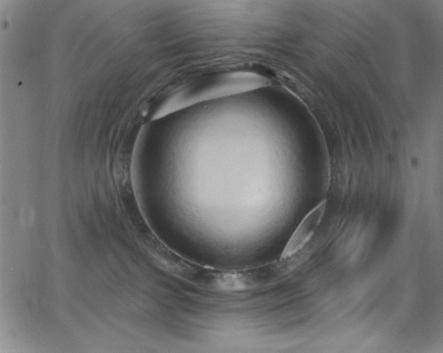 X0000068770091200604281249