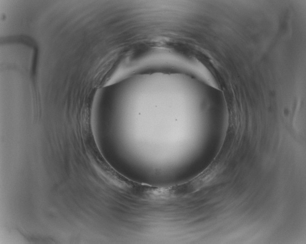 X0000068770092200604281249