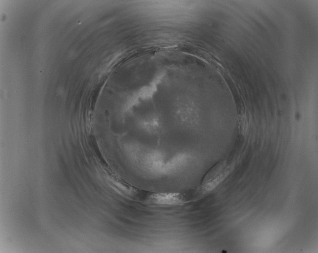 X0000068770093200604281249