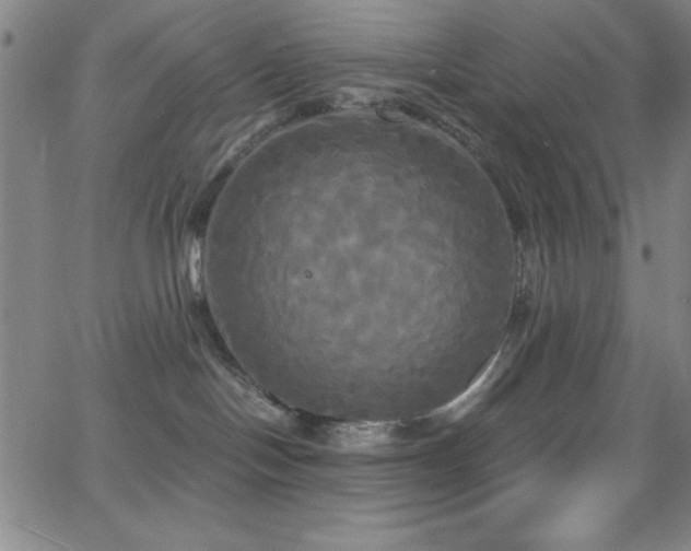 X0000068770094200604281249