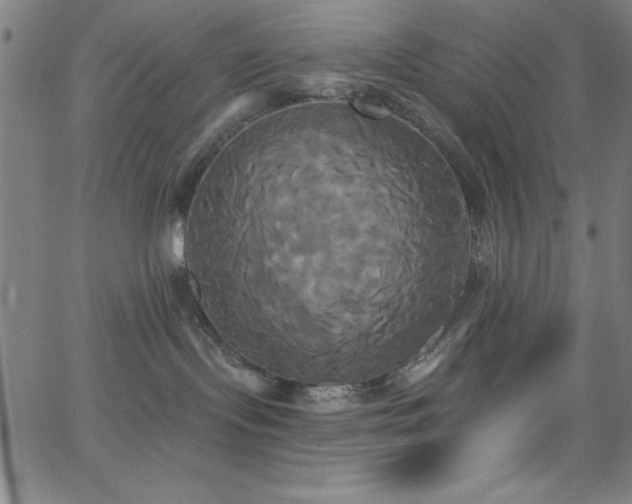 X0000068770095200604281249