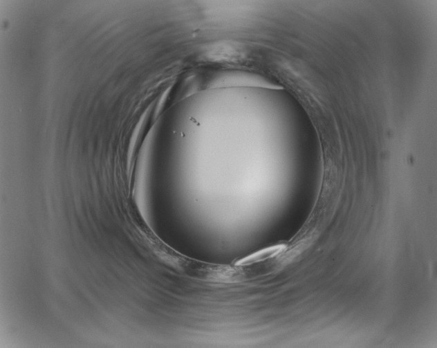 X0000068770096200604281249