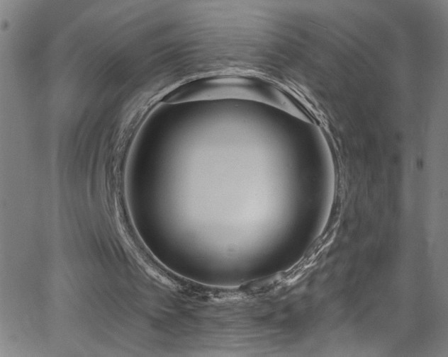 X0000068770097200604281248